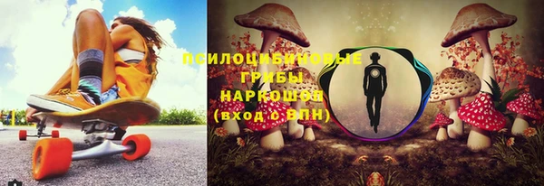 дживик Верея