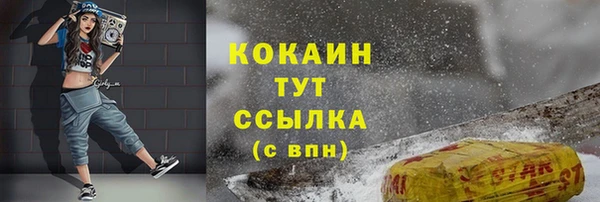 дживик Верея