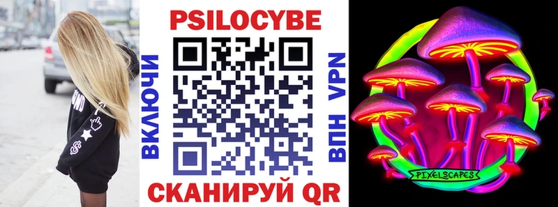 даркнет сайт  Старица  гидра зеркало  Псилоцибиновые грибы Psilocybine cubensis 
